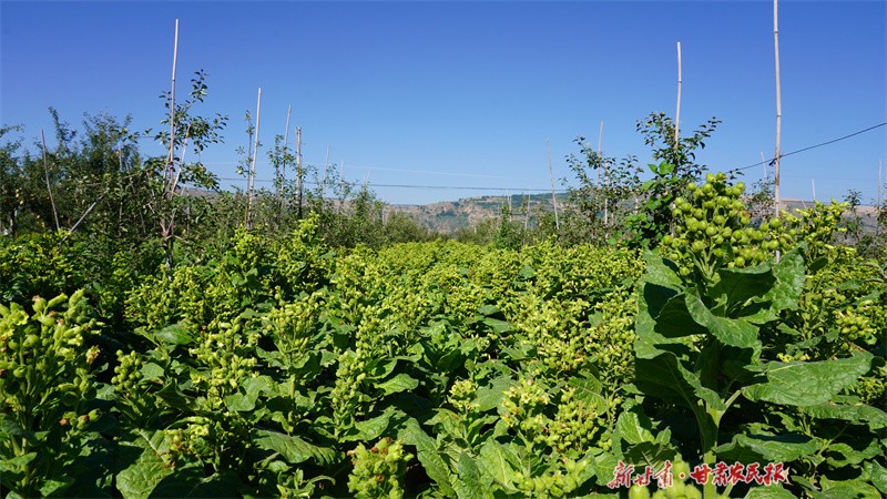 GetAttachment (5).jpg