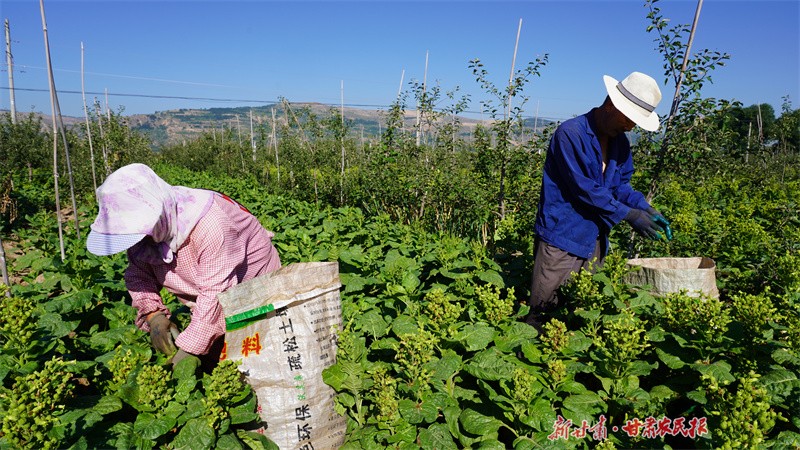 GetAttachment (4).jpg