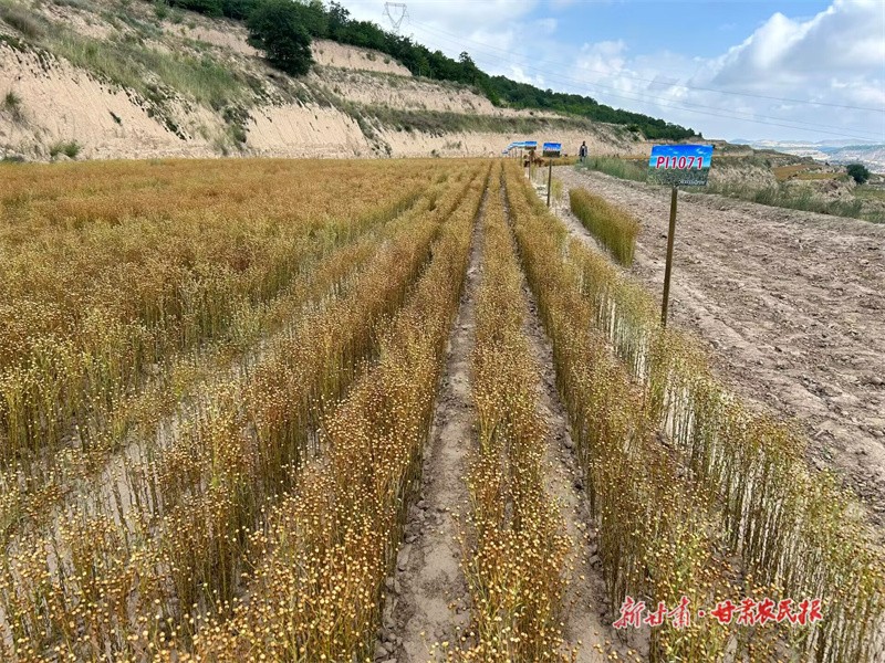 GetAttachment (2).jpg