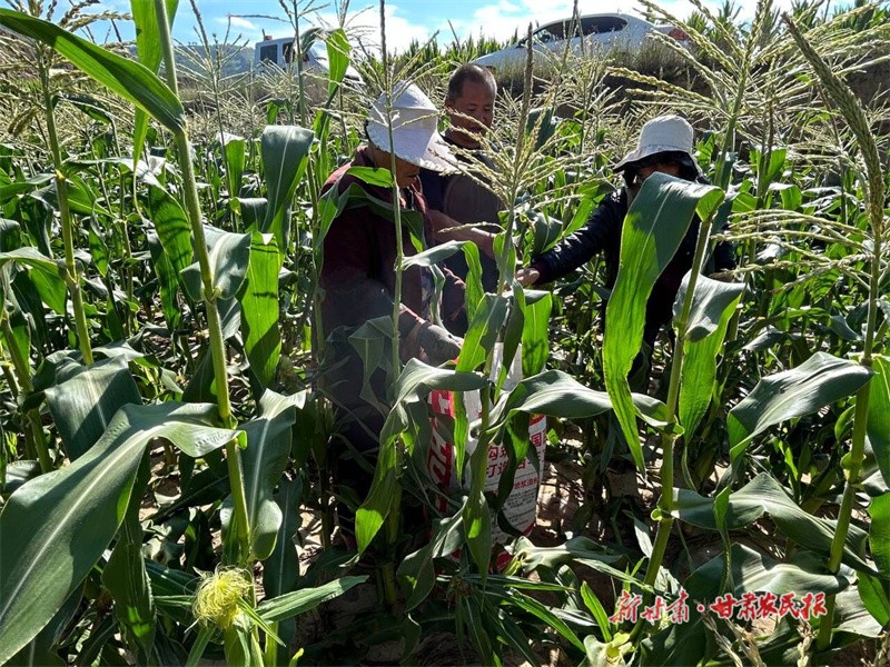 1692350562171695.jpg GetAttachment (6).jpg