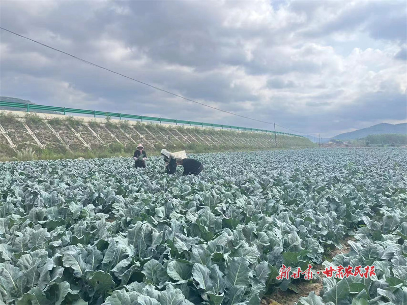 GetAttachment (8).jpg