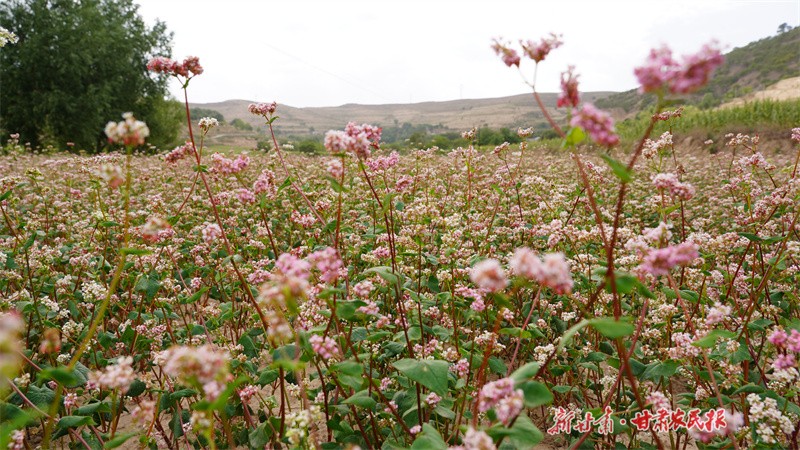 GetAttachment (6).jpg