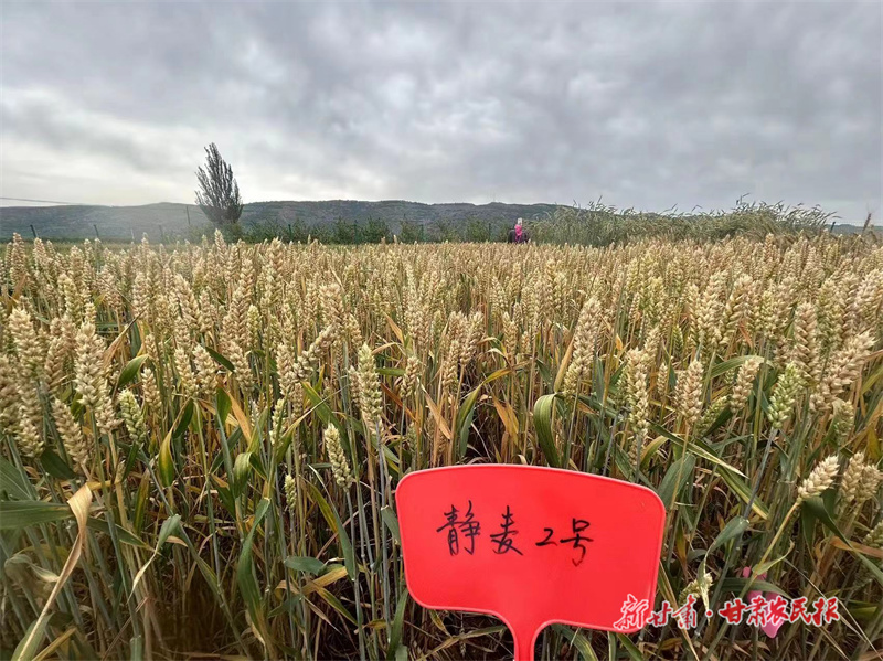 GetAttachment (1).jpg