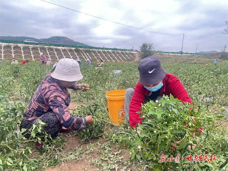 GetAttachment (12).jpg