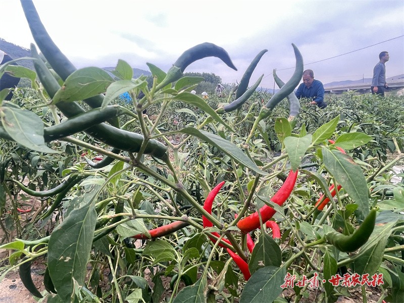 GetAttachment (15).jpg