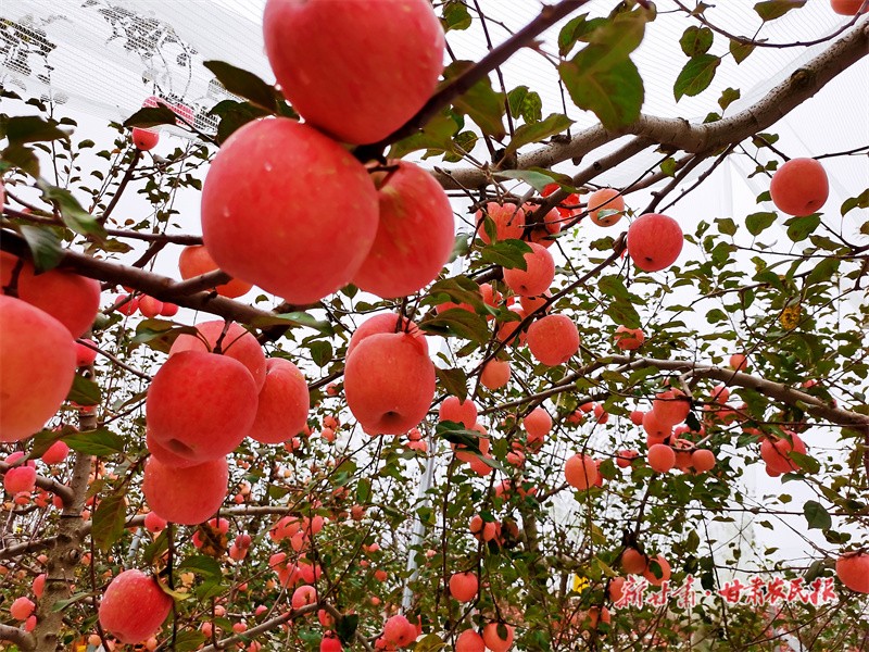 GetAttachment (6).jpg