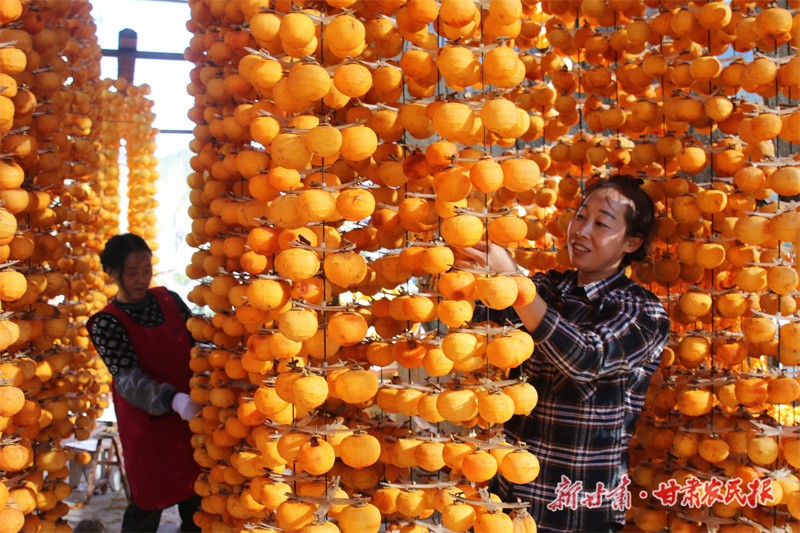 微信图片_20231030163950.jpg