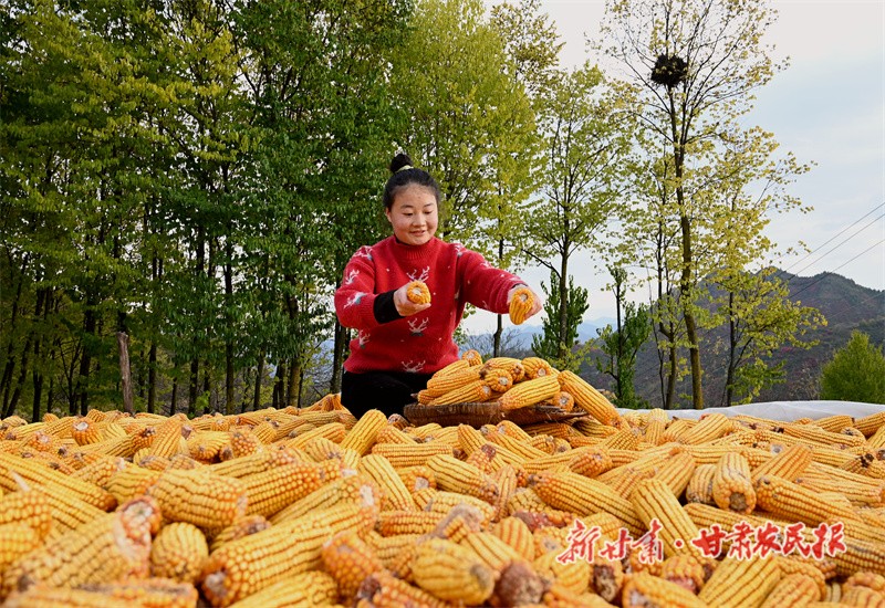 微信图片_20231108091917.jpg