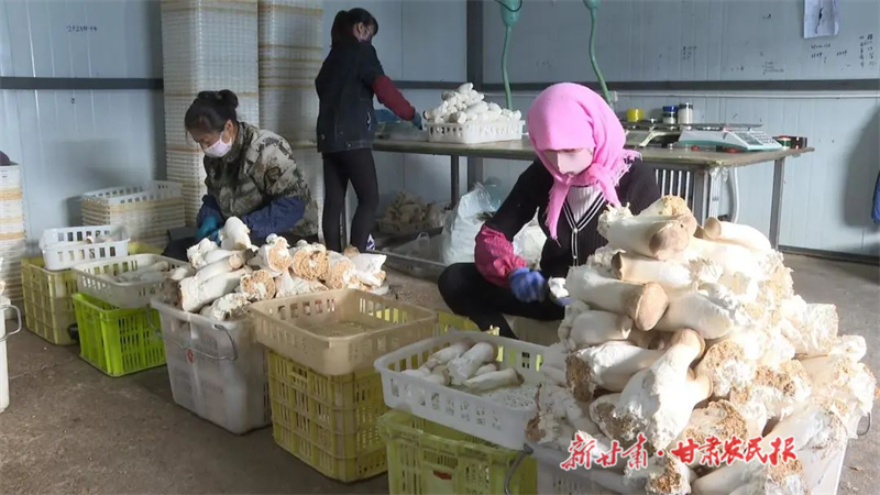 1700706288519433.png 微信图片_20231122110156.png