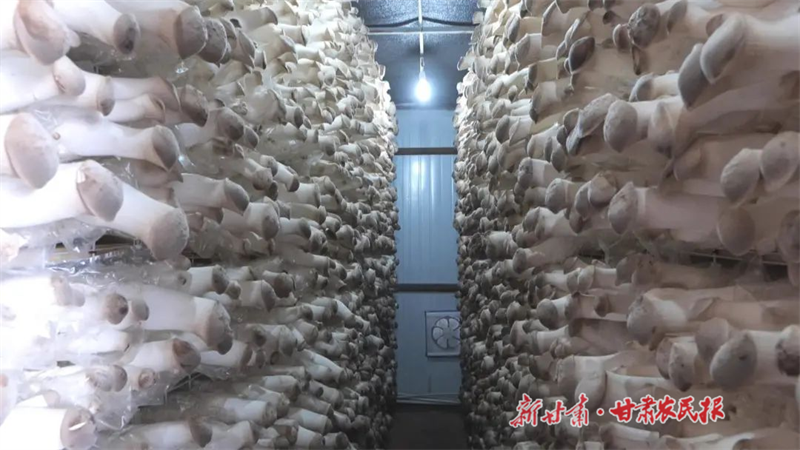 1700706302711072.png 微信图片_20231122110210.png