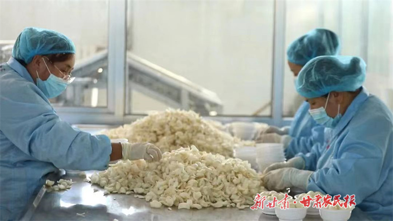 1700706374818071.jpg 微信图片_20231122110002.jpg