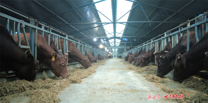 GetAttachment (7).jpg