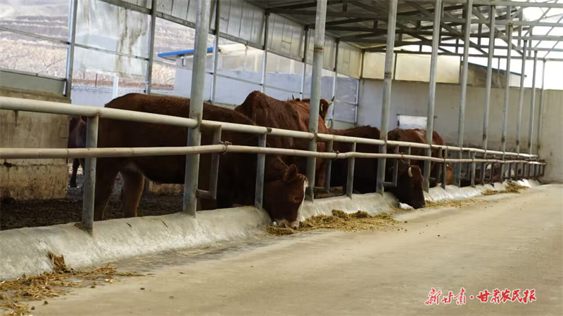 GetAttachment (9).jpg