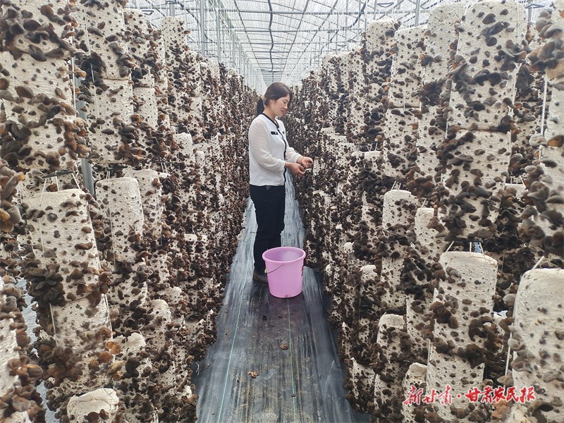 GetAttachment (11).jpg