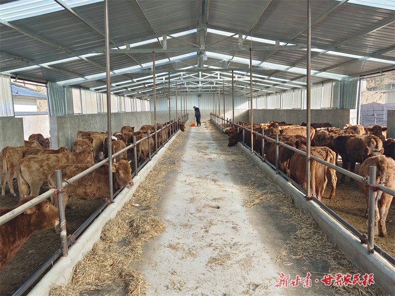 GetAttachment (15).jpg