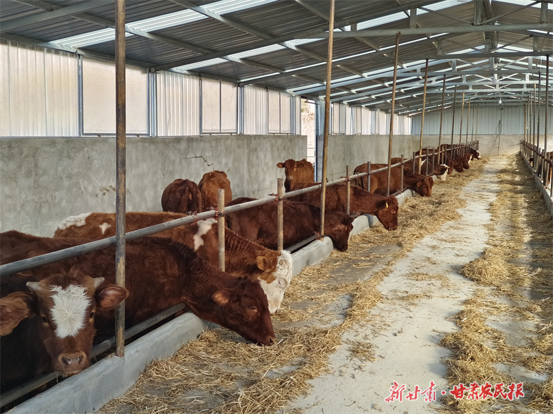 GetAttachment (16).jpg