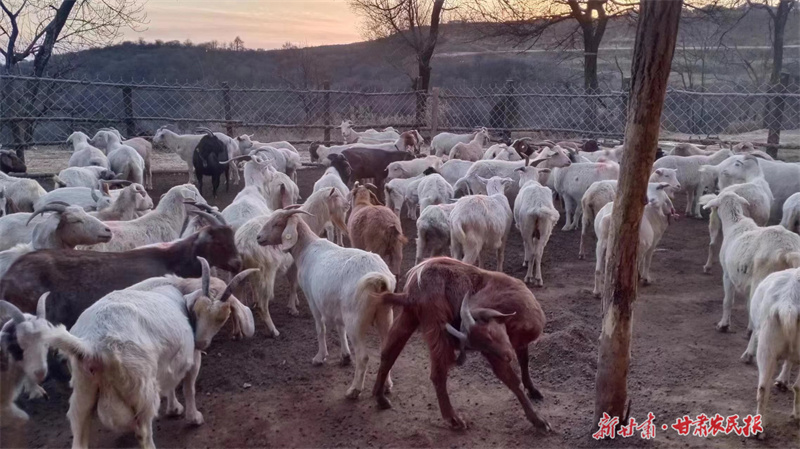 GetAttachment (17).jpg