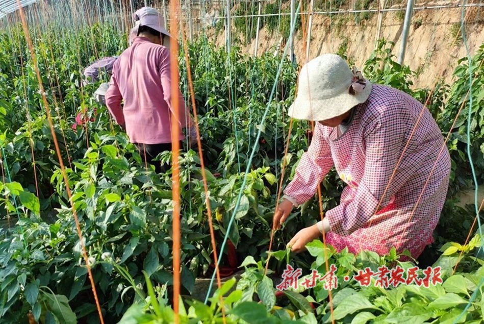 1702263903441828.jpg 微信图片_20231208151752.jpg