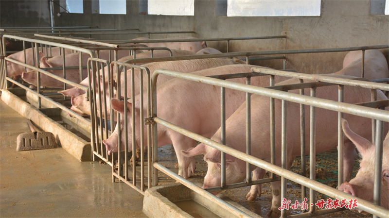 GetAttachment (2).jpg