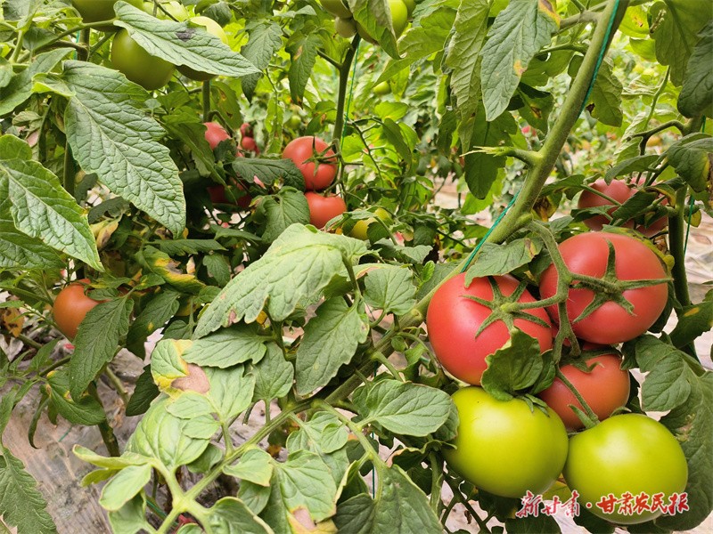 GetAttachment (6).jpg