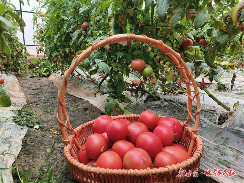 GetAttachment (7).jpg