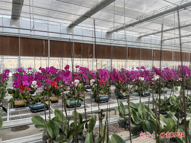 GetAttachment (8).jpg