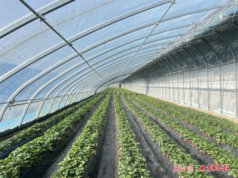 GetAttachment (12).jpg