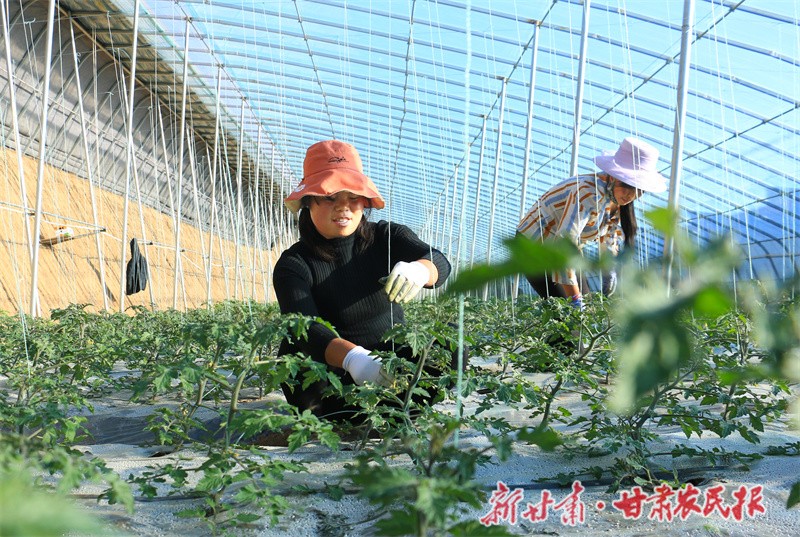 微信图片_20240105154623.jpg