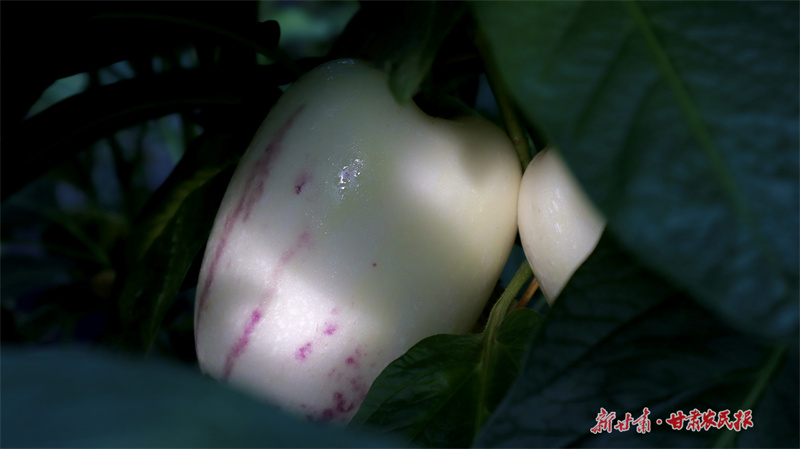 GetAttachment (1).jpg