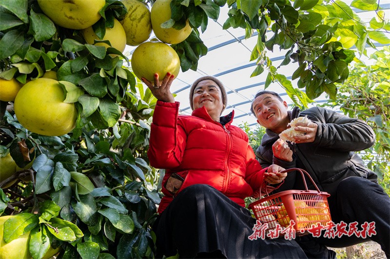 微信图片_20240117152027.jpg