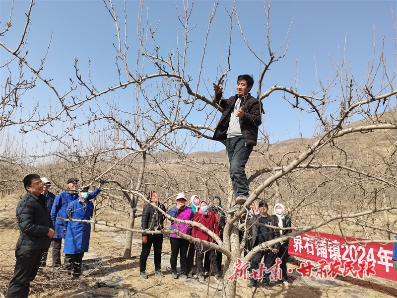 微信图片_20240313162055.jpg