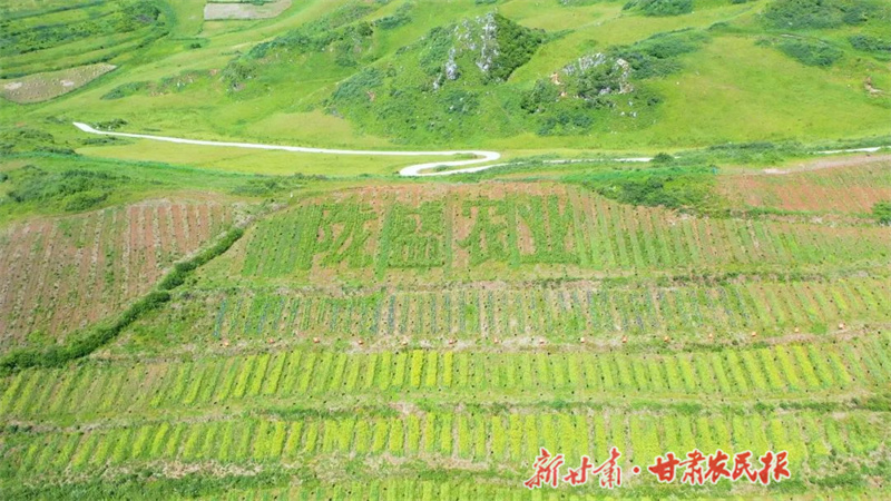 微信图片_20240320152355.jpg