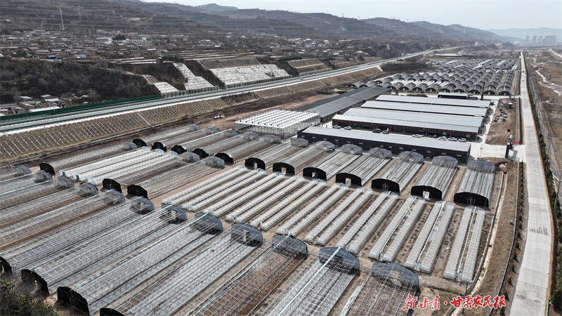 庄浪县水洛河流域食用菌产业园