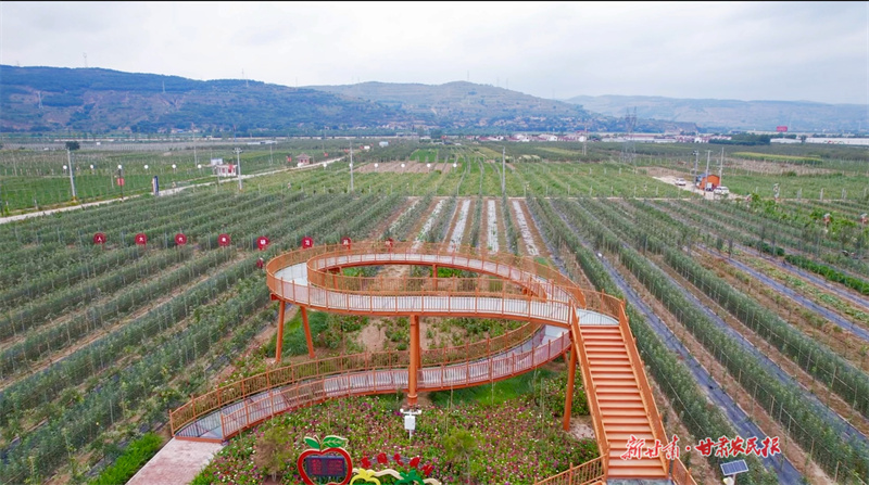 静宁县城川镇智慧果园