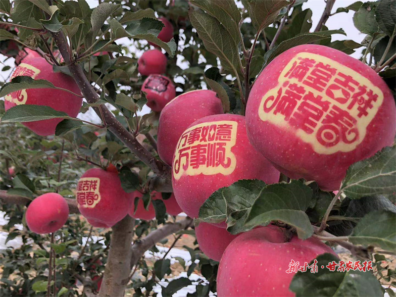 微信图片_20221014093348