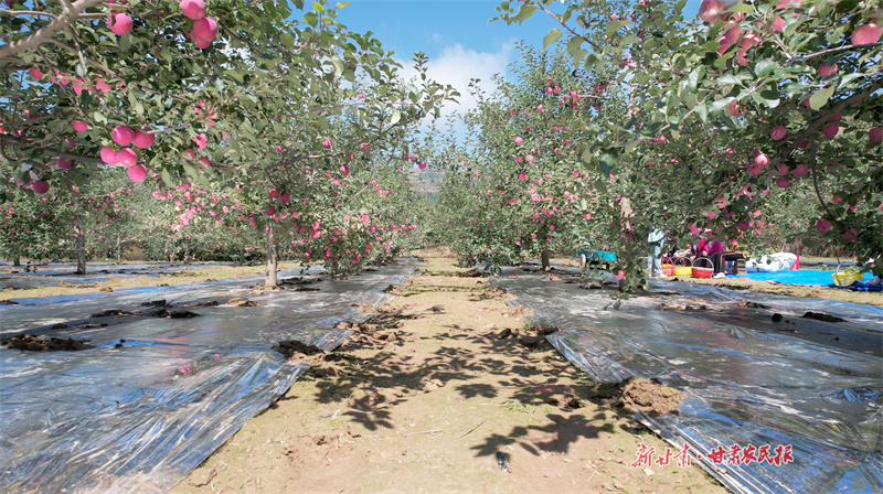 微信图片_20221014093342