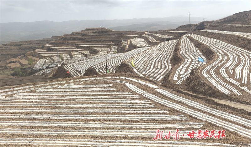 1713841140415469.jpg 微信图片_20240422160552.jpg