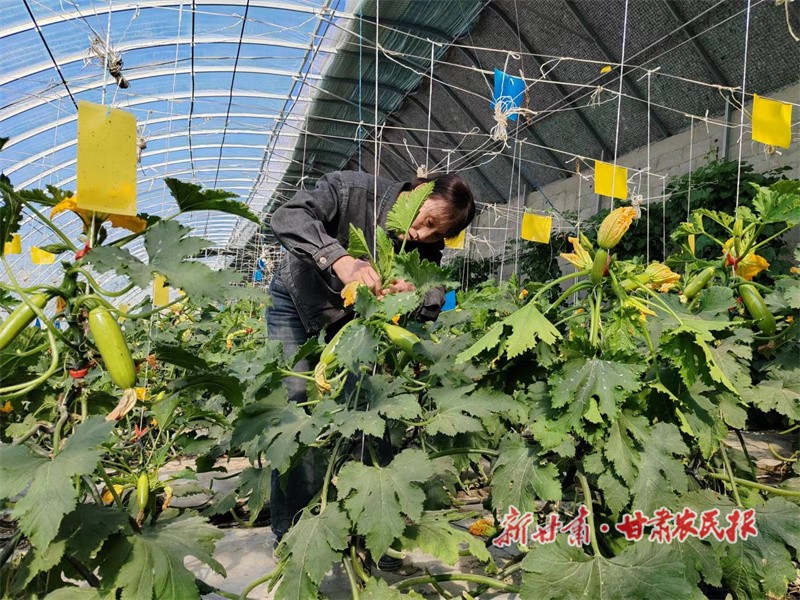 1713841341991725.jpg 微信图片_20240422160601.jpg