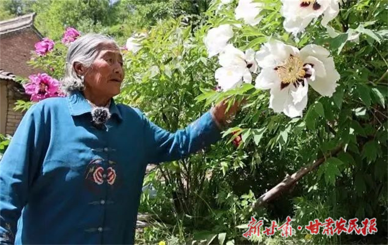 微信图片_20240529151227.jpg