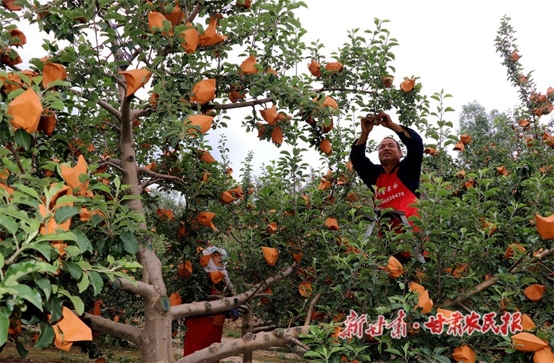 微信图片_20240603170515.jpg