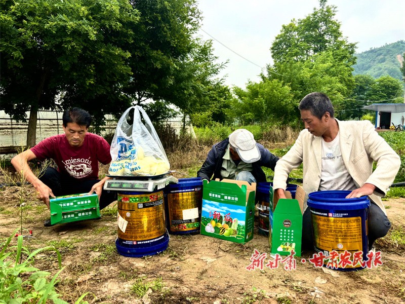 1719457227311265.jpg 微信图片_20240626153558.jpg