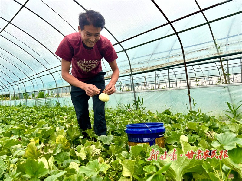 1719457244332689.jpg 微信图片_20240626153553.jpg