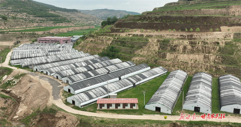 静宁县丰之华食用菌有限公司生产基地