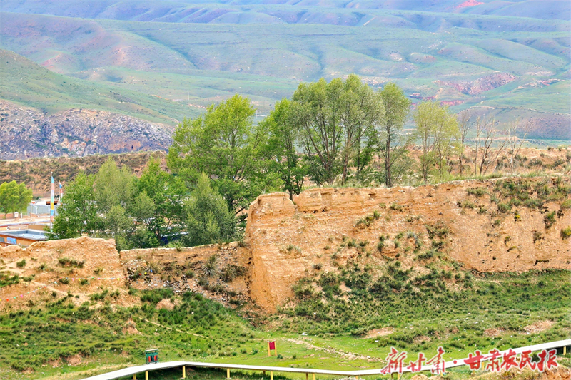 微信图片_20240720231549