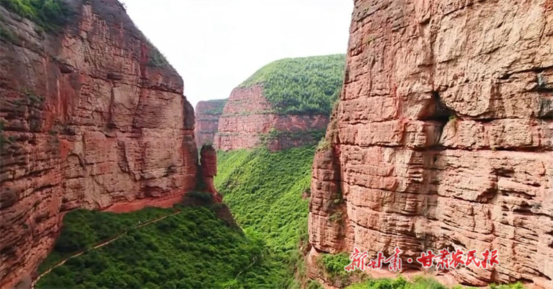 QQ截图20240723100827