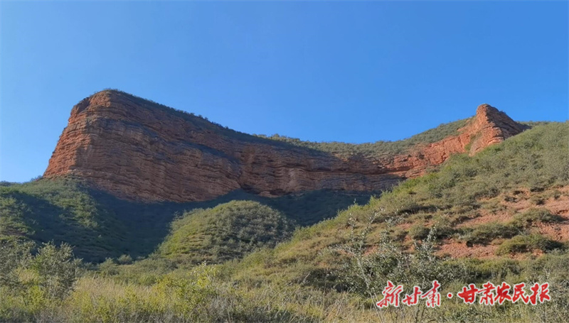 QQ截图20240723101123