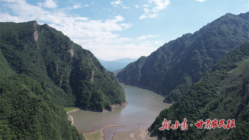 QQ截图20240726131307