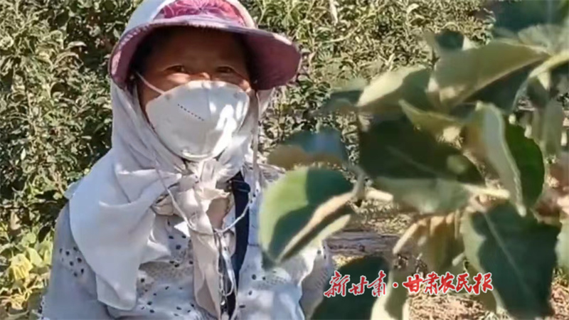 1722305958477754.jpg 微信图片_20240729155000.jpg