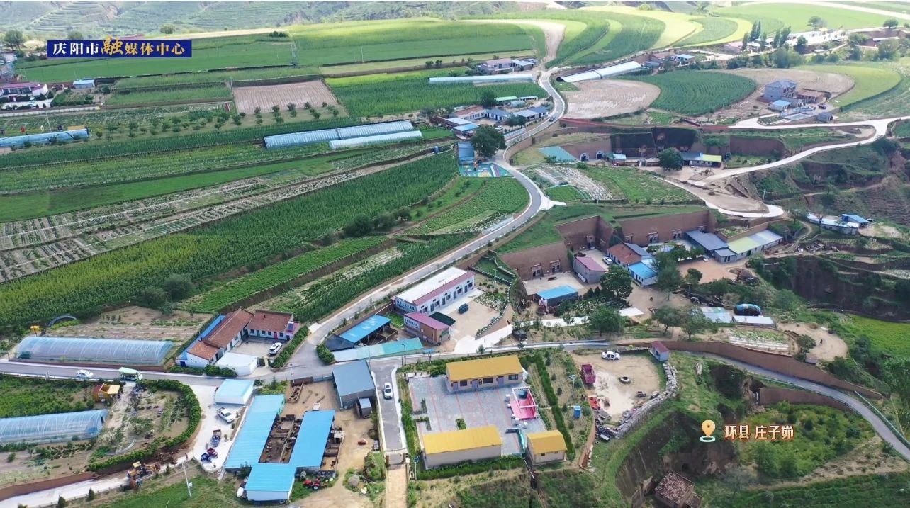 1723624016521741.jpg 微信图片_20240814151646.jpg