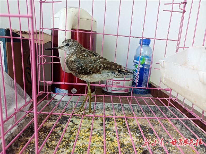 1724402177682645.jpg 微信图片_20240823163545.jpg